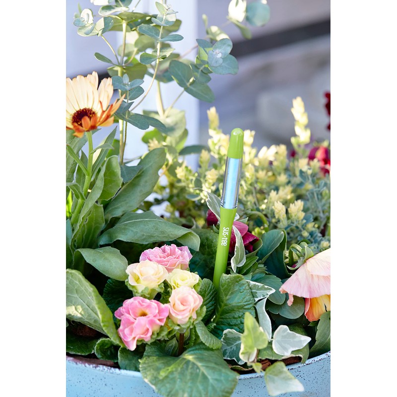 キャビノチェ SUSTEE 水やりチェッカー サスティー 5本セット S Green