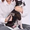 Petio FIXCARE Soft and Easy Grip Hard Slicker Brush for