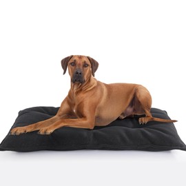 MABOZOO Dog Bed, Indestructible Chew Proof Pet Bed Mat, Durable Polyester, Large 35x22 inches, Black, for Aggressive Chewers, Crate Pad, Machine Washable