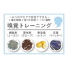 Tree of Life Olfactory Training Set (Includes Essential Oils, Containers,