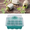 10Pcs Seedling Trays 12 Hole Transparent Adjustable Ventilated Seedling Starter