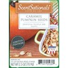 ScentSationals Caramel Pumpkin Seeds Wax Cubes