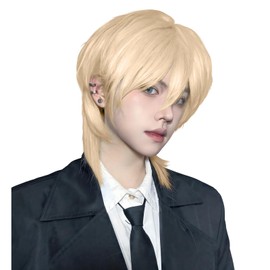 FESHFEN Men's Wig, Full Wig, Short, Black Hair, Wig, Short Hair, Men's Wolf Cut, Men's Clothing, Handsome, Everyday Use, Fluffy, Fashion, Handsome Wig, Harajuku, Natural, Unisex, Heat Resistant,