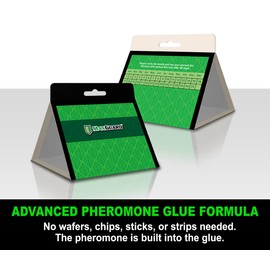 MaxGuard Pantry Moth Traps (4 Traps Trial Pack) Extra Strength Pheromones | Non-Toxic Sticky Glue Trap for Food and Cupboard Moths in Your Kitchen | Trap and Kill Seed Grain Flour Meal Moths |