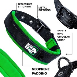 Black Rhino - The Comfort Collar Ultra Soft Neoprene Padded Dog Collar for All Breeds - Heavy Duty Adjustable Reflective Weatherproof (Small, Green/Bl)