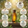 Aceite Esencial De Árbol De Té 100% Puro 20ml