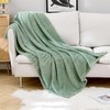 MIULEE Fleece Throw Blanket with Stripe Pattern 300GSM Super Soft