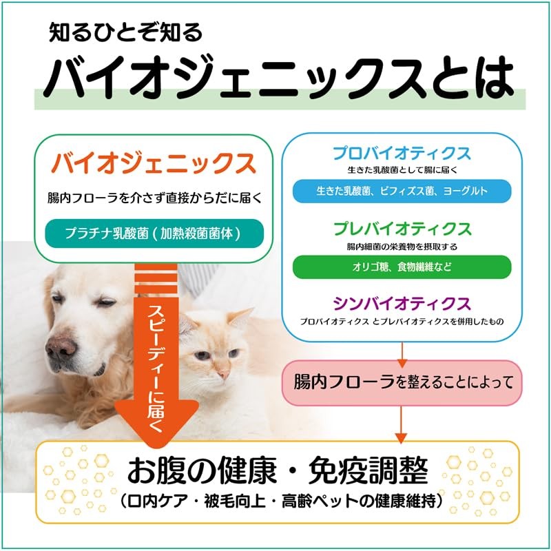 Cat Lactic Acid Bacteria Supplement, For Dogs, For Cats, Platinum