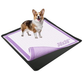 TidyFriend Dog Pad Holder Tray for 36 x 36 Inches Training Pads - Silicon Wee Wee Holder, No Spill Pee Tray for Dogs - Easy to Clean and Store Perfect for Dog Potty (Black)