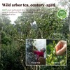 The Spring Tea Premium Grade Wild Tree Black Tea From