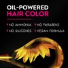Garnier Olia 4.0 Dark Brown Ammonia Free Permanent Hair Color