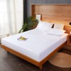 Lirex Fitted Sheet, Single Size 100% Egyptian Cotton 300 Thread