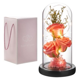Preserved Flower Gift, Light Up Rose in Glass Dome, Eternal Forever Rose Flower Gifts for Her, Grandma, Mother’s Day, Valentine’s Day, Anniversary, Birthday, Christmas Decorations, Rose Pink