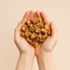 동광한방몰 건조 치커리 뿌리, 500g, 1개 Dongkwang Herbal Mall Dried
