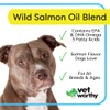 Vet Worthy Wild Alaskan Salmon Oil Blend for Dogs -
