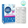 Daily Plan Lactobacillus Plantarum Sensitive Korean Paste Lactobacillus Approximately 2