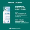Ansimel – Integratore per Ansia e Stress - Con Ashwagandha,
