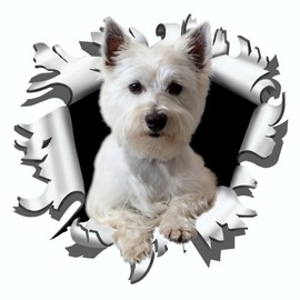 Westi Bullet Hole Sticker 175mm