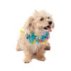 Midlee Blue Birthday Pom Pom Dog Collar (Medium)