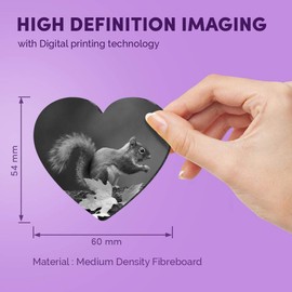 1 x Heart MDF Magnets - Cute Cheeky Squirrel Wildlife 40810