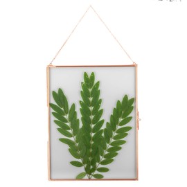 NCYP 11x14.1 Inches Glass Floating Frame for Pressed Dried Flowers, Artwork Certificate, Photo, Picture Poster - Large Ornament, Plant Specimen Clip, Wall Hanging Decor, Rose Gold (Glass Frame Only)