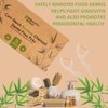 Natural Dental Floss Picks 75 Pack – Organic Biodegradable Floss