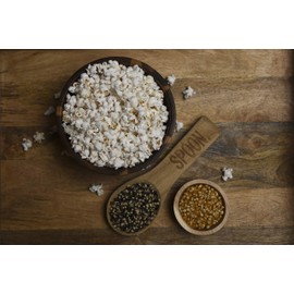 Amish Country Popcorn | 14 oz Bottle | Blue Popcorn Kernels | Old Fashioned with Recipe Guide (14 oz Bottle)