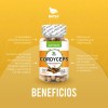 Combo Adaptógenos (frascos 100 Cap C/u)