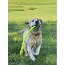 Jersey Dog Co. Perfect Tug Dog Tug of War Dog Toy, Safe Puppy Chew Toys, Made in The USA Rubber-Free Toy 24” Long