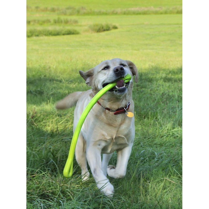 Jersey Dog Co. Perfect Tug Dog Tug of War Dog