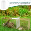 Qualirey Trap Divider Stainless Steel Small Animal Trap Fork Divider