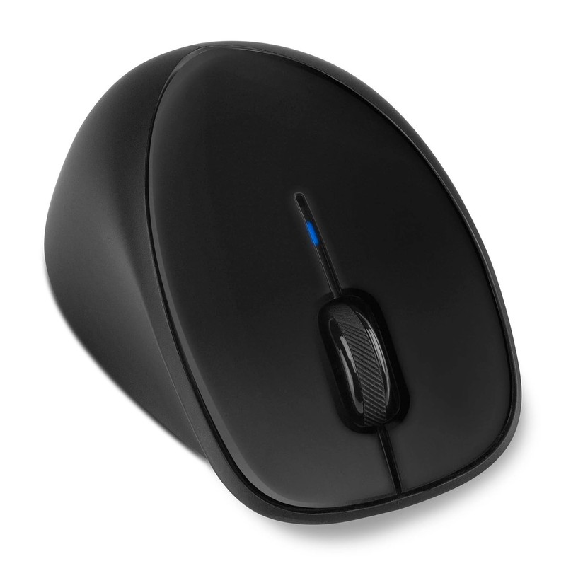 Hewlett Packard HP Wireless Mouse Comfort Grip (H2L63AA) Negro