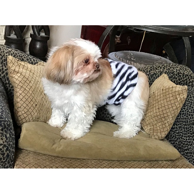 Cuddle Bands Premium Belly Band for Male Dog Incontinence and