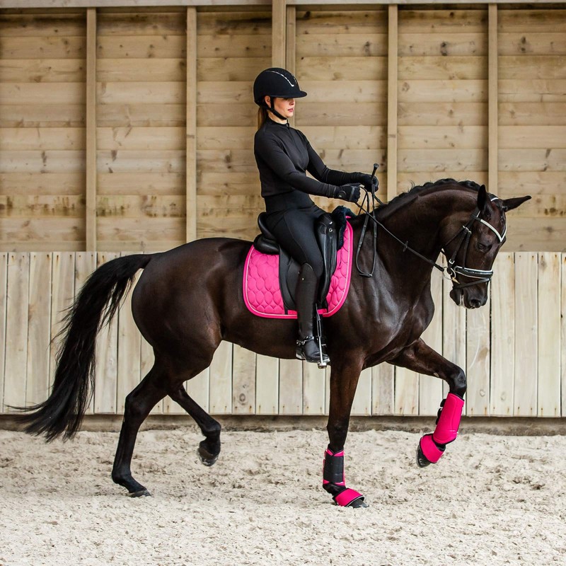HORZE Grayson Classic Dressage Ergonomic Bridle - Black/White - Warmblood