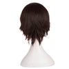 MapofBeauty Men's Short Straight Wig Cosplay Costume Wig (Dark Brown)
