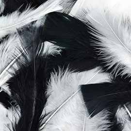Touch of Nature Turkey Flat Feathers 14GM 4-6" Black/White 1pkg