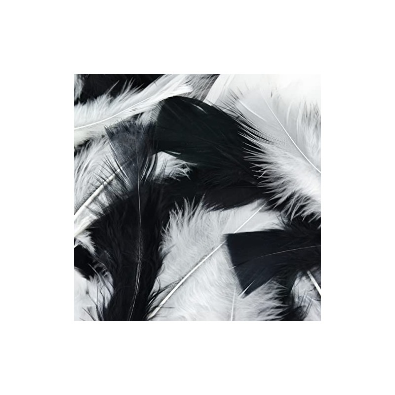 Touch of Nature Turkey Flat Feathers 14GM 4-6" Black/White 1pkg