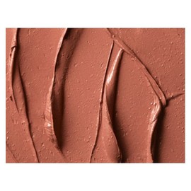 Lipstick Matte Lipstick Velvet Teddy M.A.C