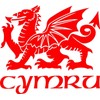 Cymru Draig Ddraig Goch Welsh Dragon Decal Caravan Motorhome Boat
