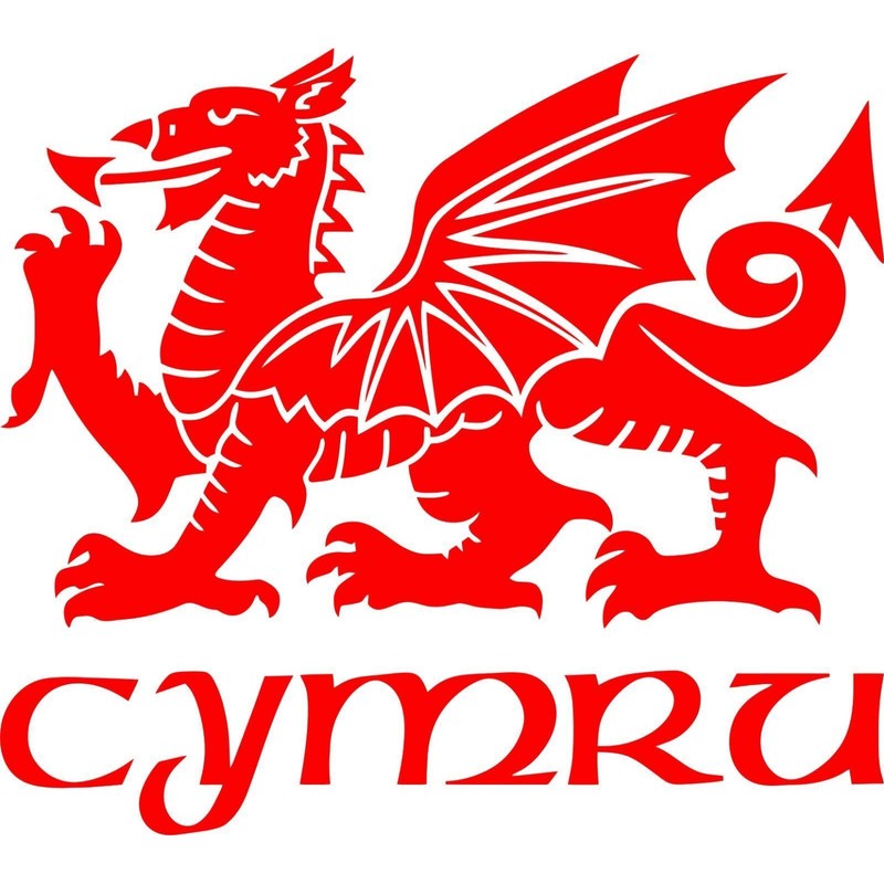 Cymru Draig Ddraig Goch Welsh Dragon Decal Caravan Motorhome Boat