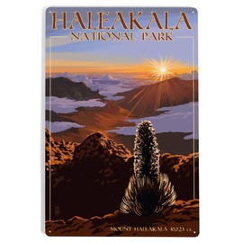 Lantern Press 12x18 Inch Metal Sign, Haleakalā National Park, Sunrise