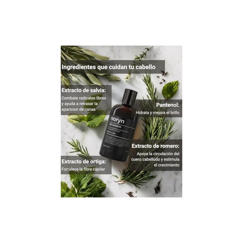noryn Shampoo para Hombres 250 ml Fórmula Natural, Prevención de