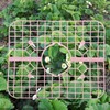 Totority 4Pcs Strawberry Support Rack Strawberry Growing Stand for Gardening