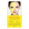 Dermapix 더마픽스 퍼펙트 리얼 퍼포먼스 비타콜라겐 1매입 Dermapix Perfect Real Performance Vitacollagen 1 Piece