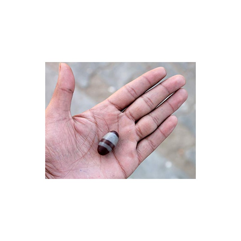 KLEO Espranade Narmada Stone Narmadeshwar, Shiva Lingha | Shiva Lingham