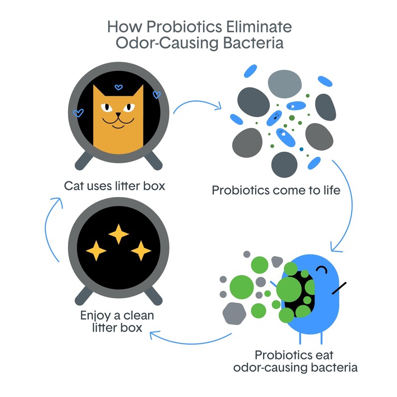 BoxiePro Bot Probiotic Cat Litter Automatic Box 40+ Day Odor