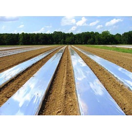 Silver Metallic Plastic Mulch 4 Ft X 50 Ft 1.0 Mil Embossed