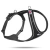 Magnetic Belka Comfort Harness