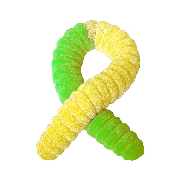 The Gummy Bear Guy | SOUR World's Largest Gummy Worm