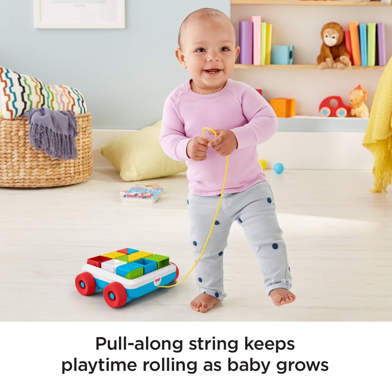 Fisher-Price GJW10 Pull-Along Activity Blocks